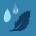 leaf and water icon